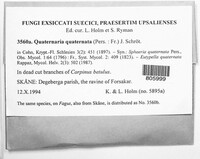 Image Associated With the Occurence